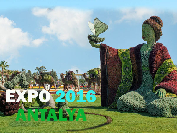 EXPO 2016 Deneyimi